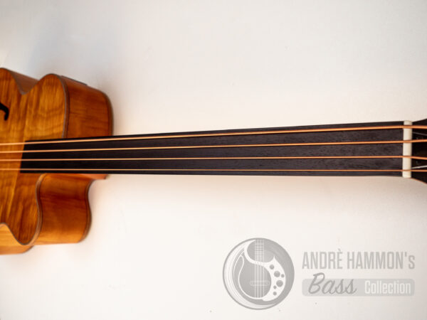 Akustik Acoustic Bass Aria FEB-F2/FL 2021 - Natural Full Scale Fretless