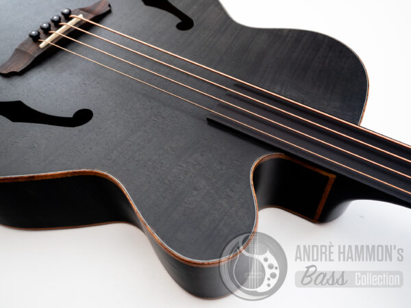 Akustik Acoustic Bass Aria FEB-F2/FL 2021 STBK