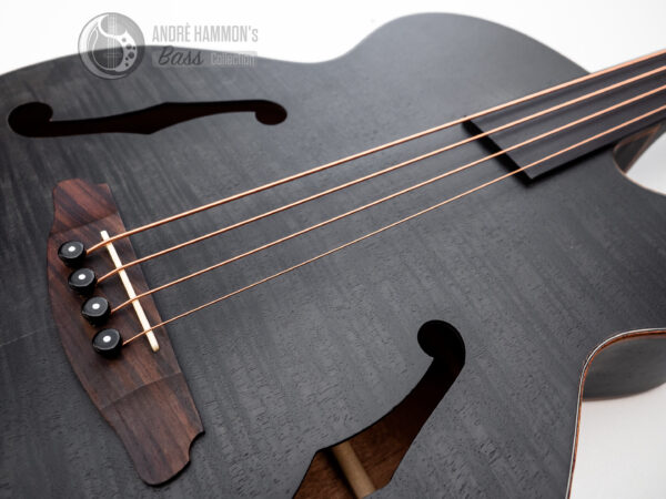 Akustik Acoustic Bass Aria FEB-F2/FL 2021 STBK