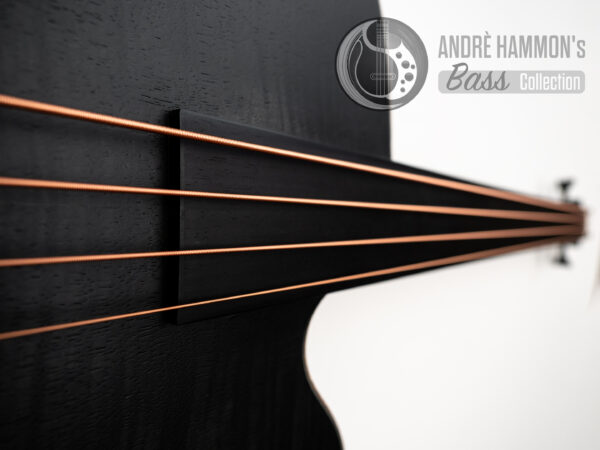 Akustik Acoustic Bass Aria FEB-F2/FL 2021 STBK