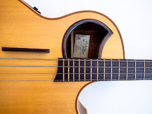 Warwick „The Alien“ NT4 Natural Made in Saxony (Germany)