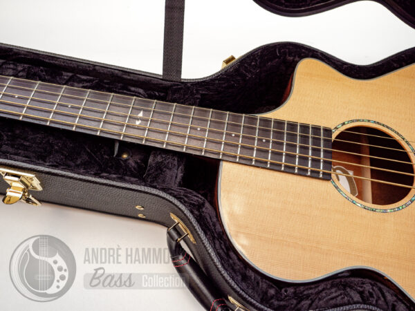 Breedlove Atlas Series Studio BJ350/SM5