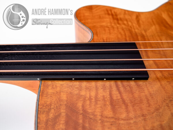 Akustik Acoustic Bass Aria FEB-F2/FL 2021 - Natural Full Scale Fretless STBR (Stained Brown)