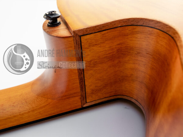 Akustik Acoustic Bass Aria FEB-F2/FL 2021 - Natural Full Scale Fretless STBR (Stained Brown)