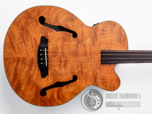 Akustik Acoustic Bass Aria FEB-F2/FL 2021 - Natural Full Scale Fretless STBR (Stained Brown)
