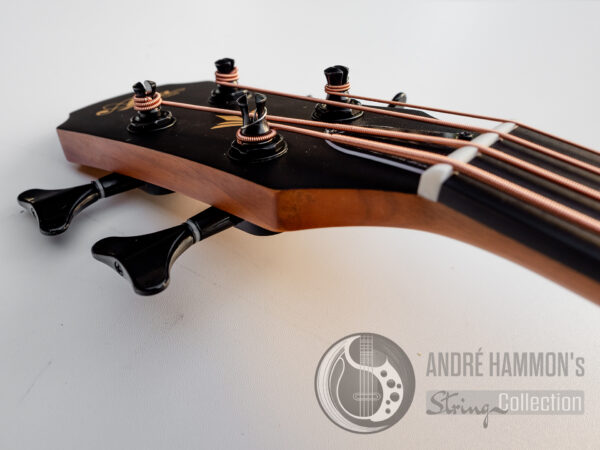 Akustik Acoustic Bass Aria FEB-F2/FL 2021 - Natural Full Scale Fretless STBR (Stained Brown)