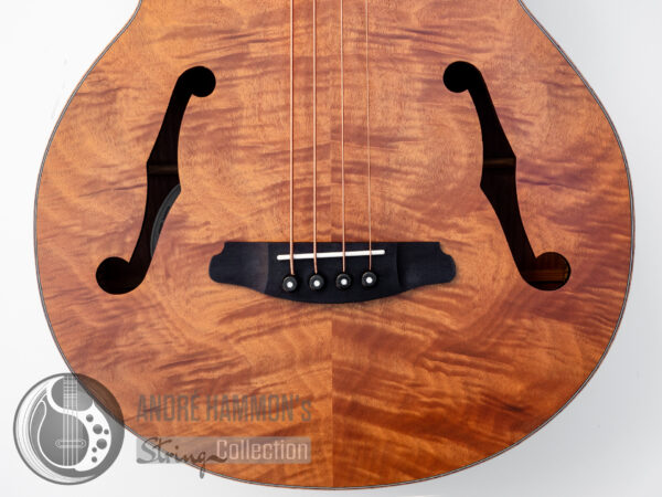 Akustik Acoustic Bass Aria FEB-F2/FL 2021 - Natural Full Scale Fretless STBR (Stained Brown)