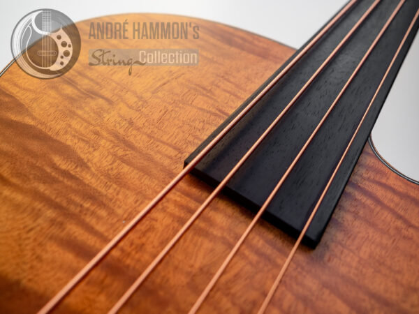 Akustik Acoustic Bass Aria FEB-F2/FL 2021 - Natural Full Scale Fretless STBR (Stained Brown)