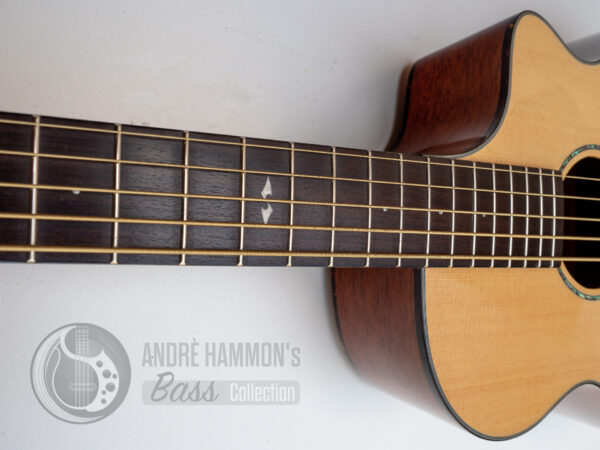 Breedlove Atlas Series Studio BJ350/SM5 Acoustic-Electric Bass Guitar Natural