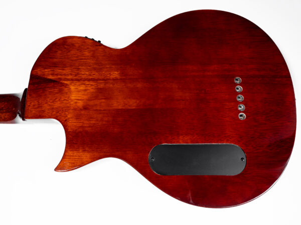 LTD ESP TL-5 Natural Semiacoustic 5 String Bass