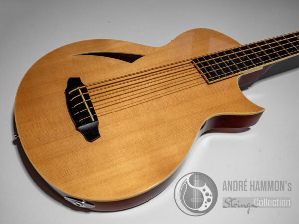 LTD ESP TL-5 Natural Semiacoustic 5 String Bass