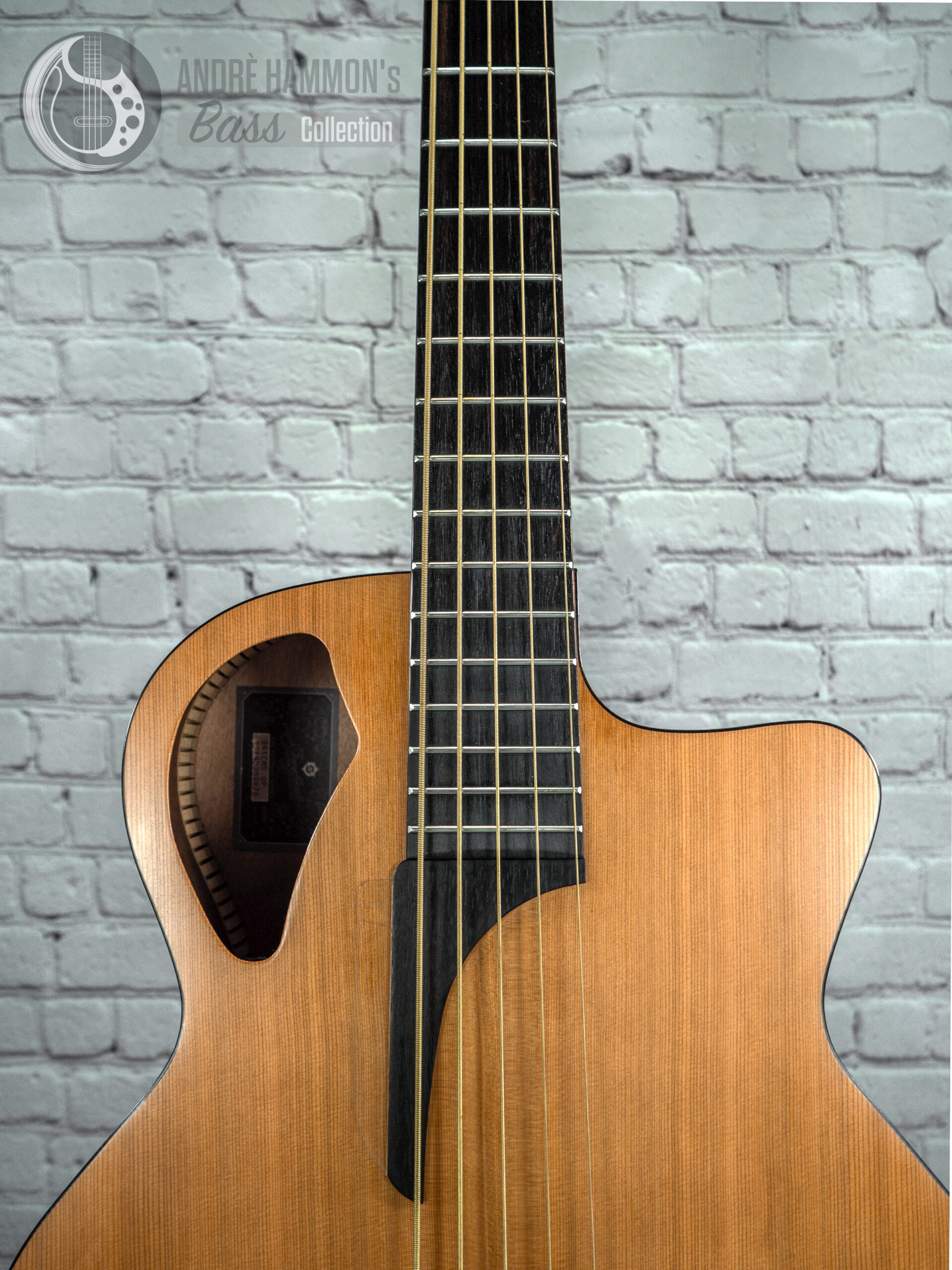 stanford b61 cm5 natural