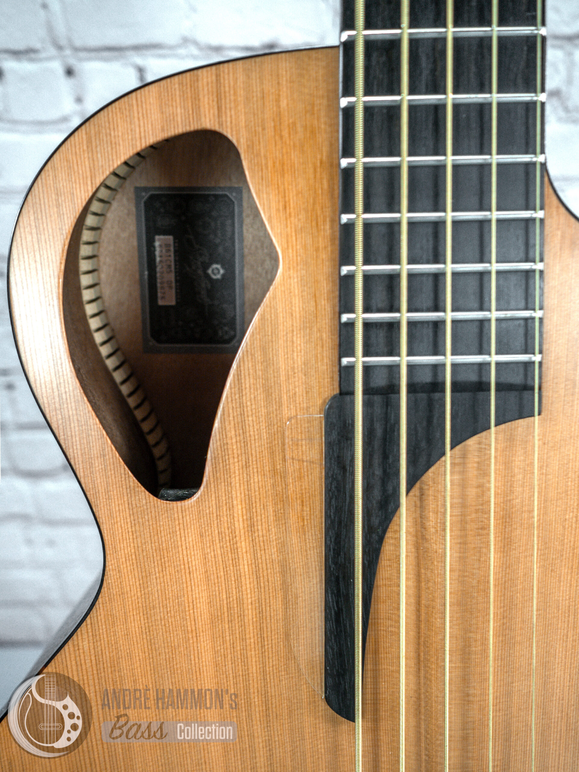 stanford b61 cm5 natural