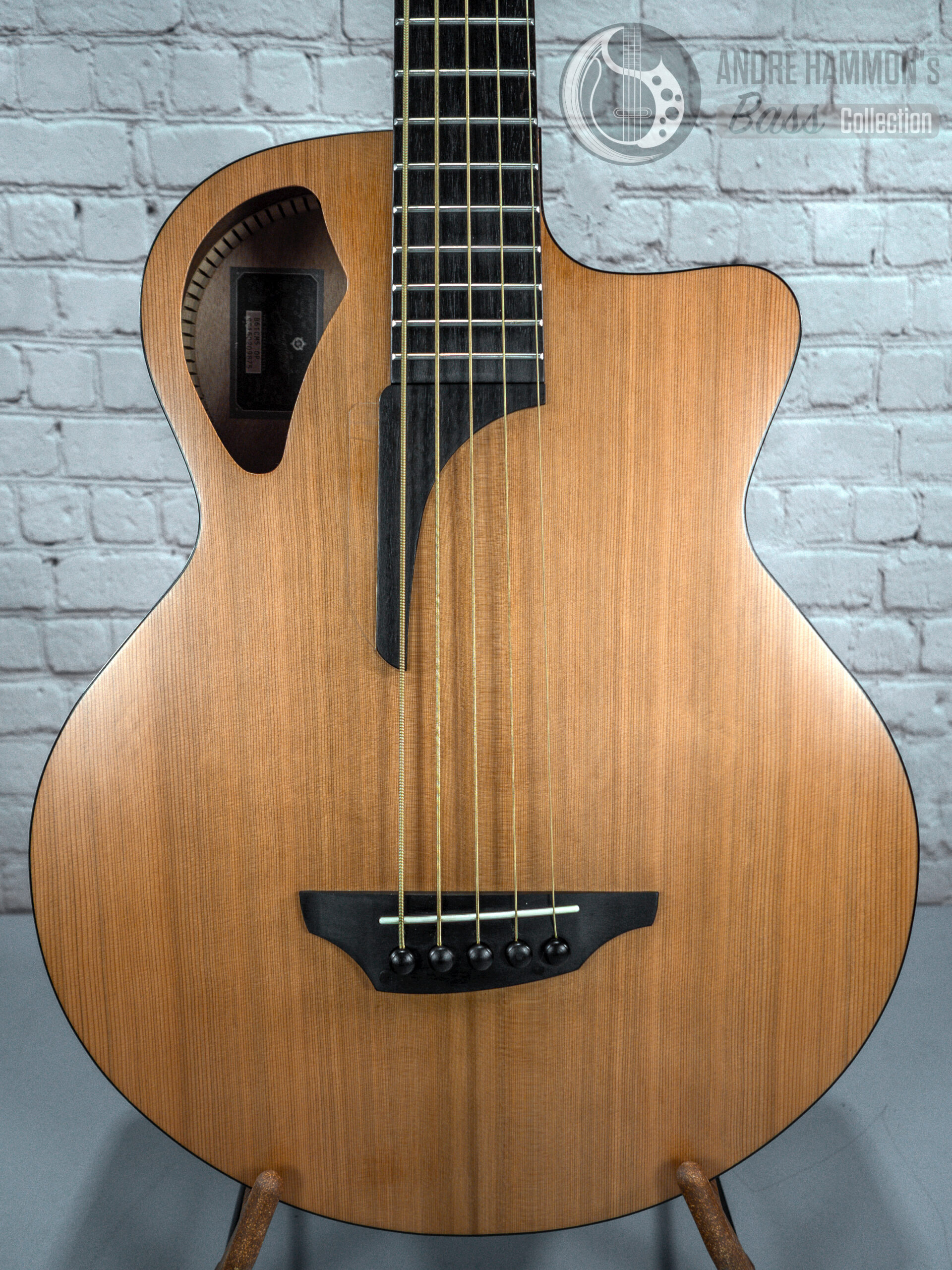 stanford b61 cm5 natural