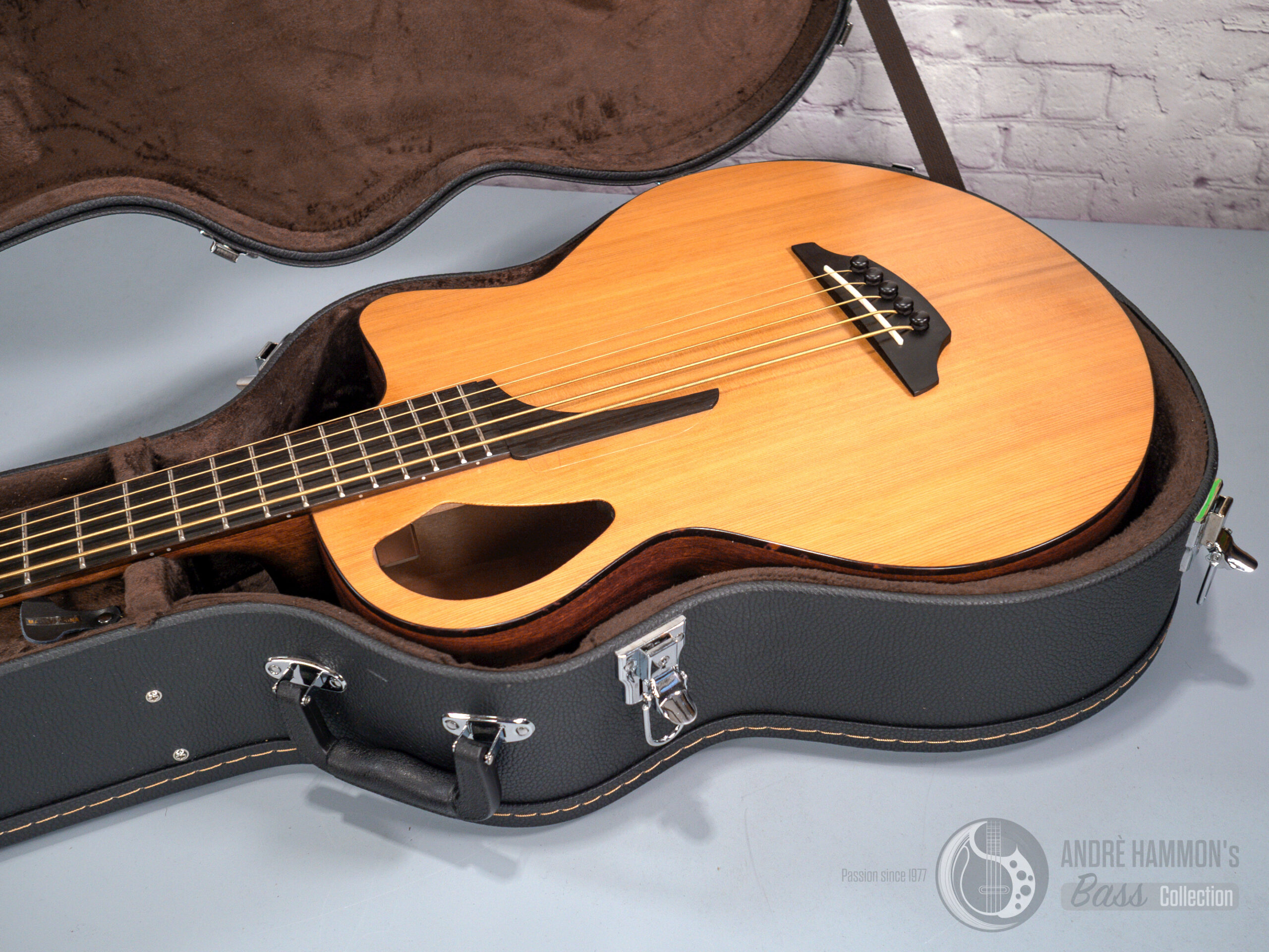 stanford b61 cm5 natural